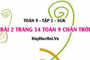Bài 2 trang 14 Toán 9 tập 1 Chân trời sáng tạo SGK